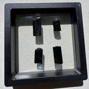 Black Tourmaline Crystals Lot in Display Case - 13 grams